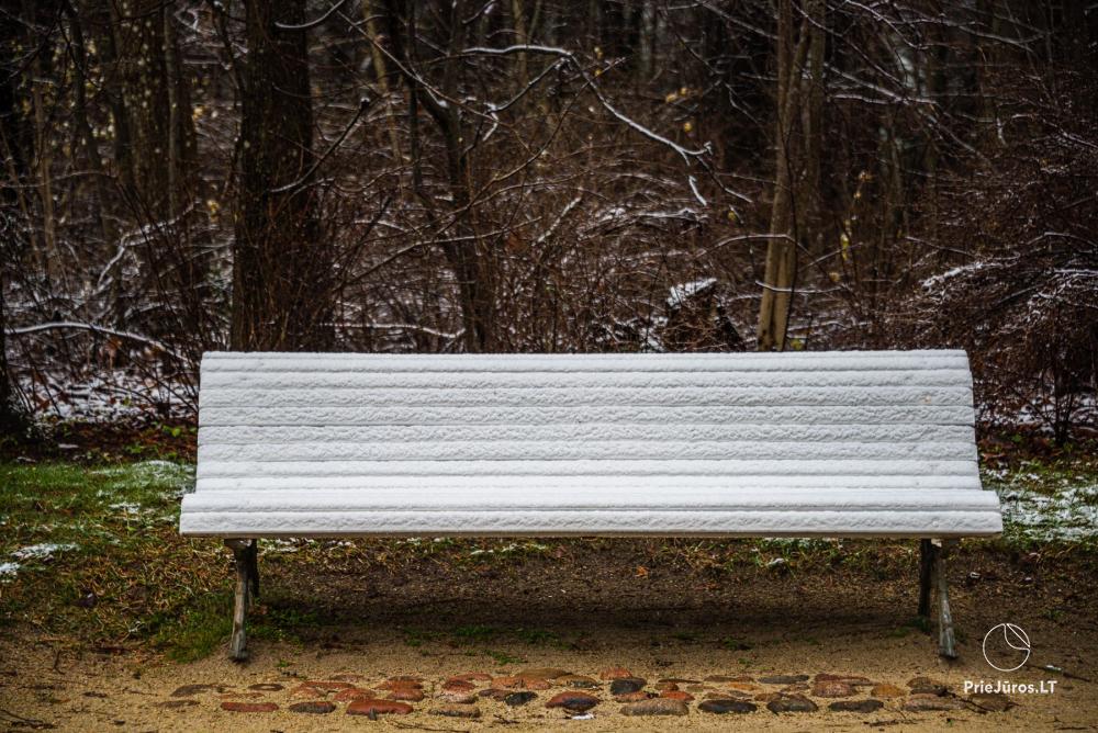 Park botaniczny w Połądze