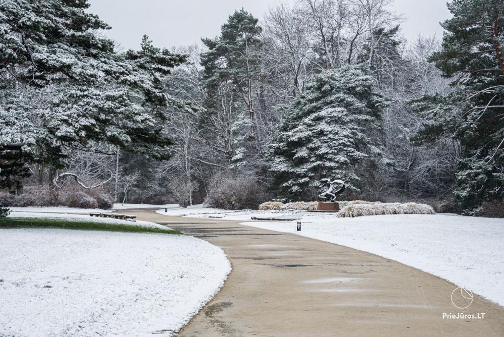 Park botaniczny w Połądze