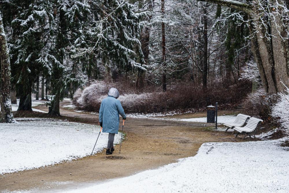 Park botaniczny w Połądze
