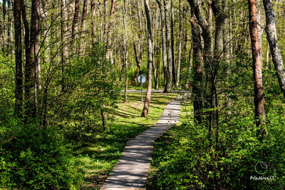 Park botaniczny w Połądze
