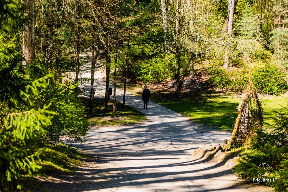 Park botaniczny w Połądze