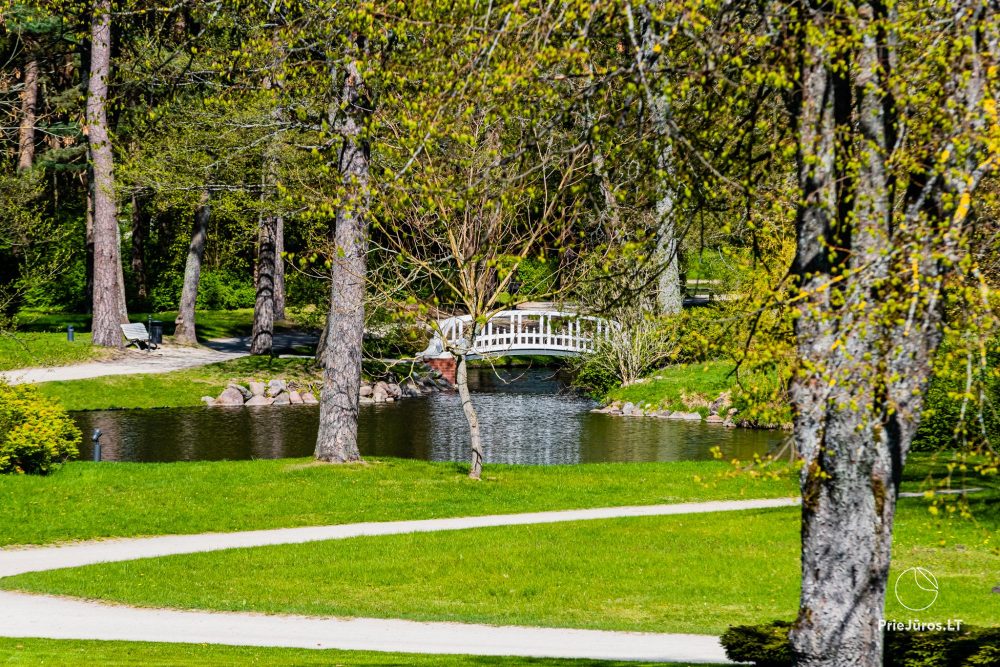 Park botaniczny w Połądze