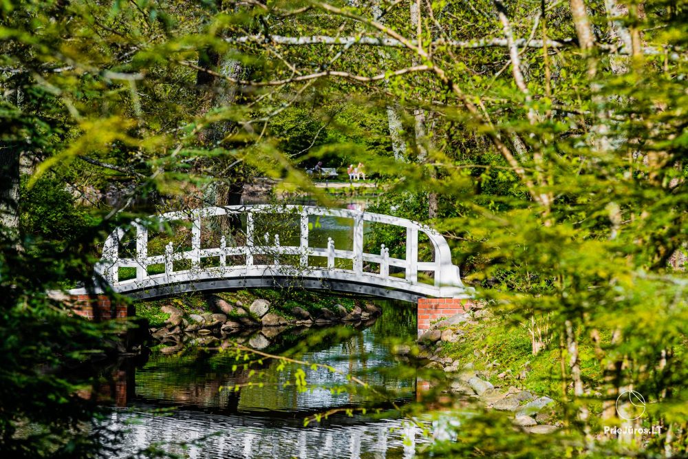 Park botaniczny w Połądze