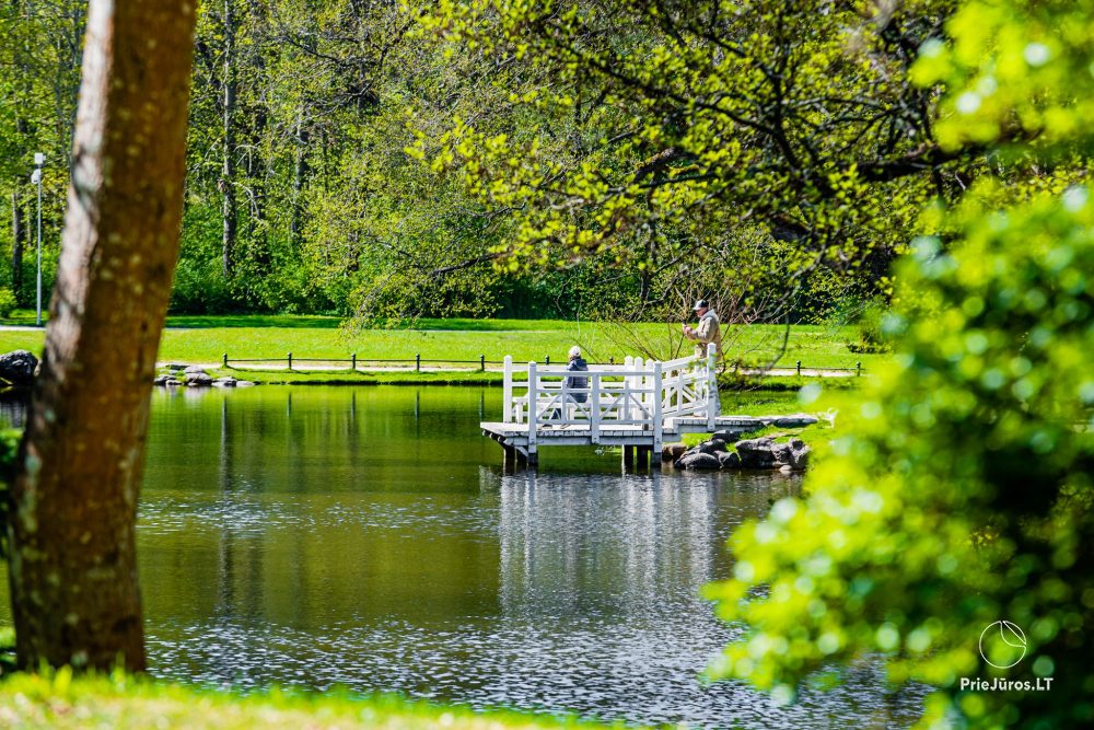 Park botaniczny w Połądze