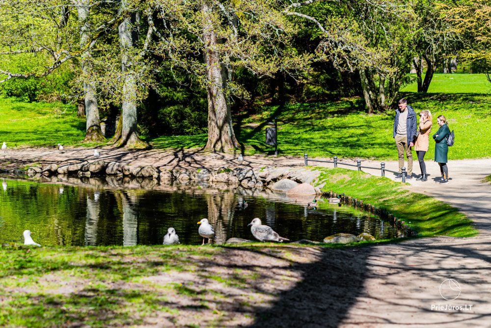 Park botaniczny w Połądze