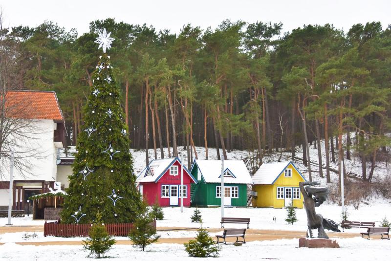 Zapalenie choinki w Nidzie w 2025 roku