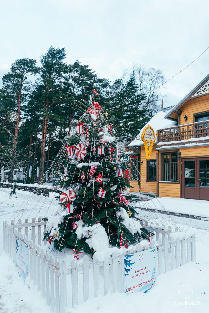 Zapalenie choinki w Palangos 4 grudnia 2026 r.