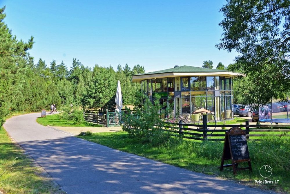 Kawiarnia Cafe o le jest do wynajęcia w Połądze nad morzem na lato lub rok - 1