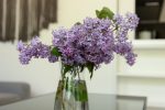 Apartament rodzinny lux nr 5