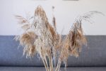 Apartament rodzinny lux nr 6