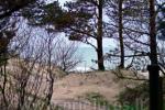 "Seaside Residence" Apartments for rent in Palanga - perfect location