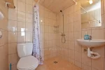 Holiday houses with all amenities - 5