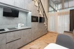 Daukanta Lofts No. 4 - 3