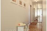 Apartment No. 6